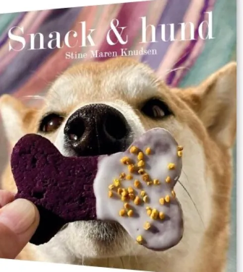 Snack & Hund