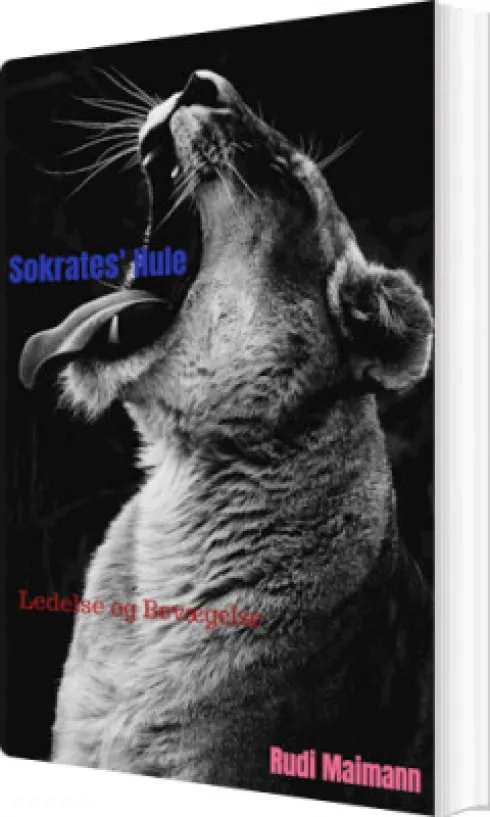 Sokrates' Hule