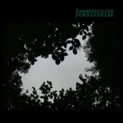 Sommerfuglens Forbandelse