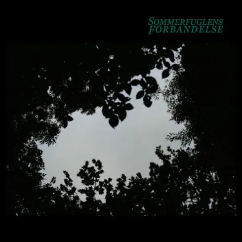 Sommerfuglens Forbandelse