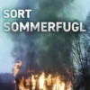 Sort Sommerfugl