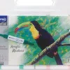 Spree Artist - Acrylic Markers - 36 Farver Og 2 Konturpenne