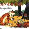 Steen Og Stoffer 10: Ædelsten Og Antistoffer
