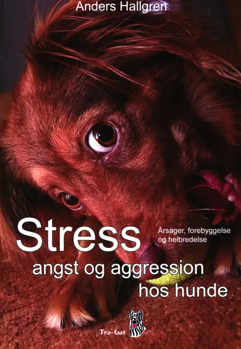 Stress, Angst Og Aggression Hos Hunde