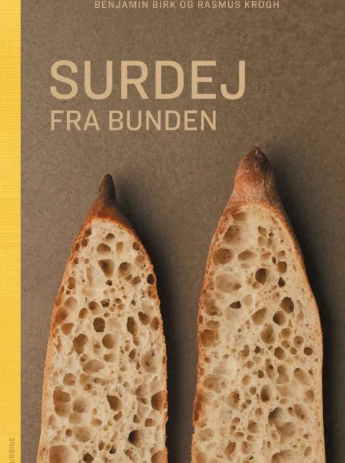 Surdej Fra Bunden