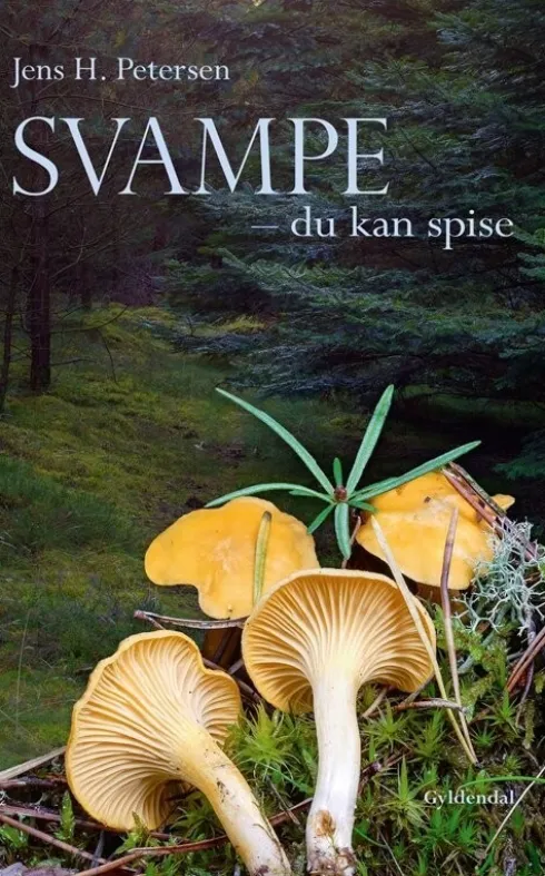 Svampe - Du Kan Spise