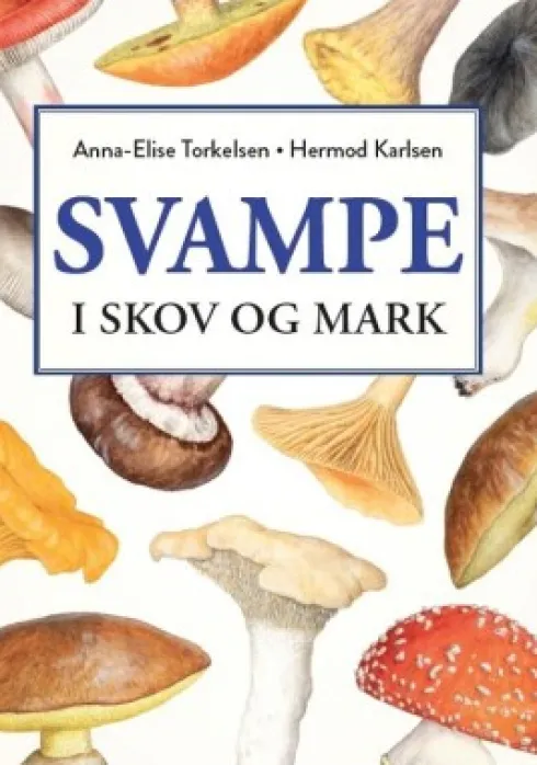Svampe I Skov Og Mark