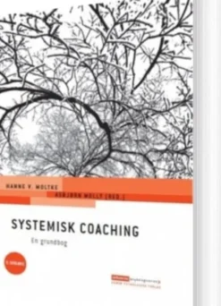 Systemisk Coaching