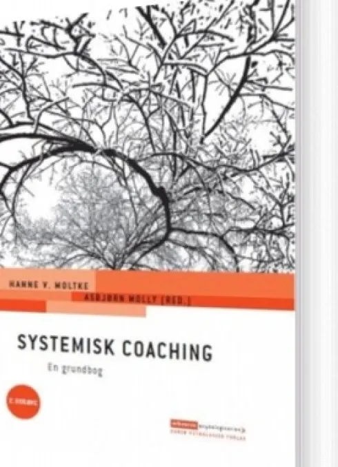 Systemisk Coaching