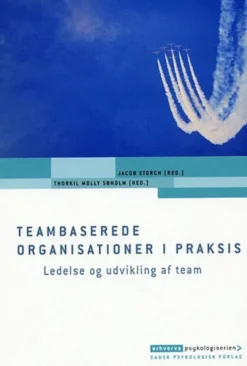 Teambaserede Organisationer I Praksis