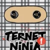 Ternet Ninja 1