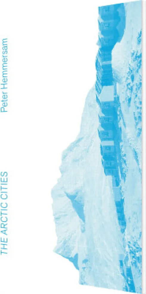 The Arctic Cities