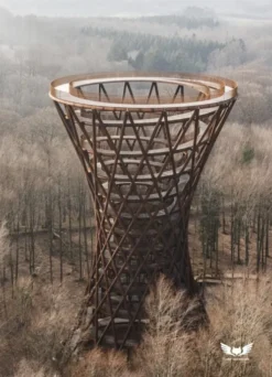 The Forest Tower