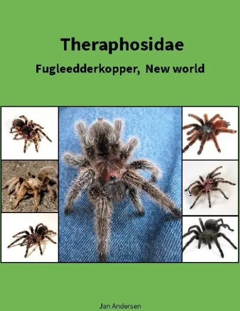 Theraphosidae