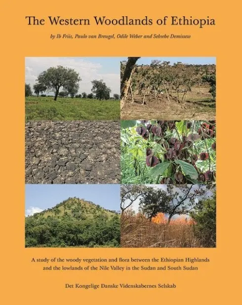 The Western Woodlands Of Ethiopia