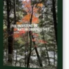Tid, Eksistens Og Naturforbundethed