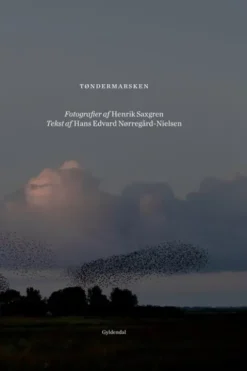 Tøndermarsken