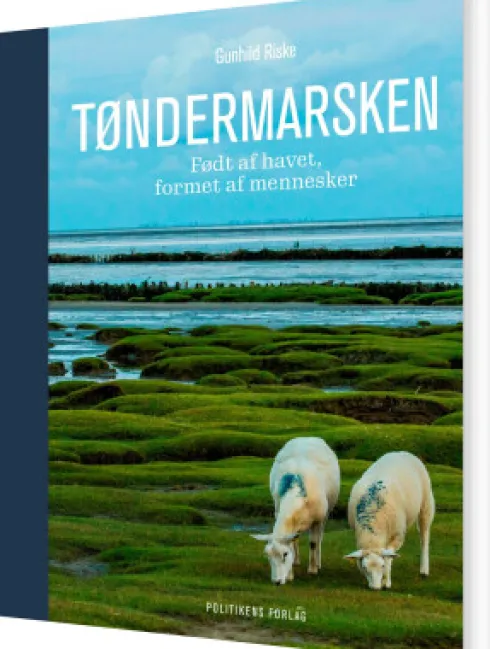 Tøndermarsken