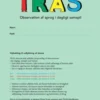 Tras Skema - 10 Stk