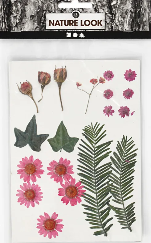 Tørrede Blomster Og Blade - Lyserød
