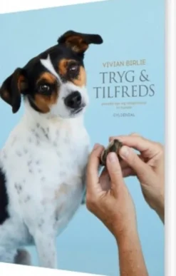 Tryg Og Tilfreds