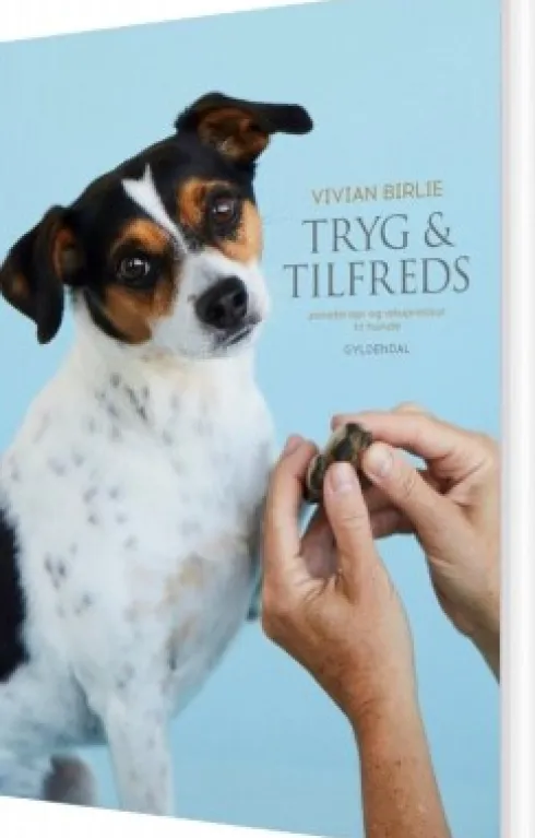 Tryg Og Tilfreds