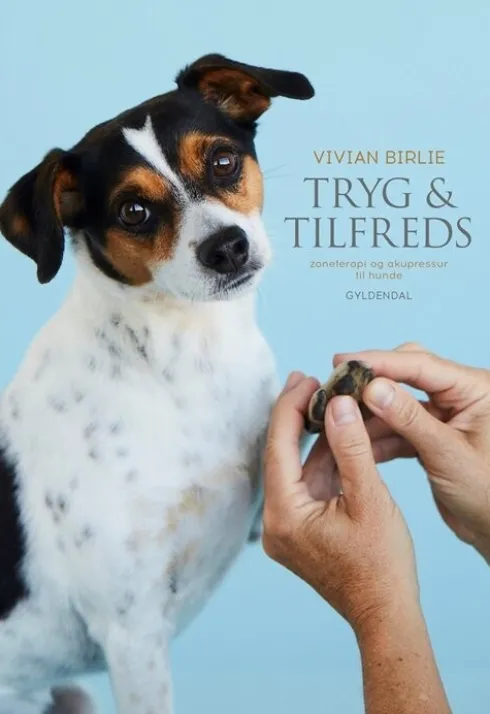 Tryg Og Tilfreds