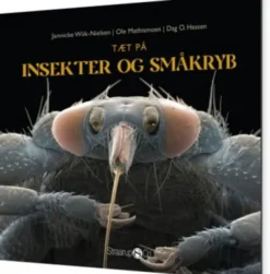 Tæt På Insekter Og Småkryb