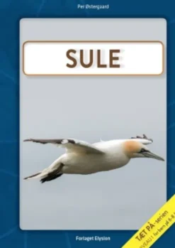 Tæt På Serien - Sule