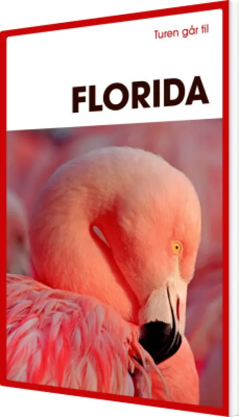 Turen Går Til Florida