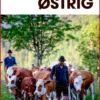 Turen Går Til Østrig