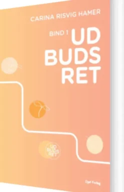 Udbudsret