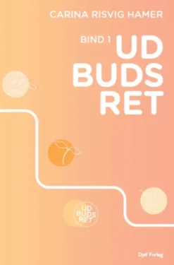 Udbudsret