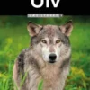 Ulv, Læs Lydret 3, Fakta