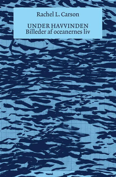 Under Havvinden
