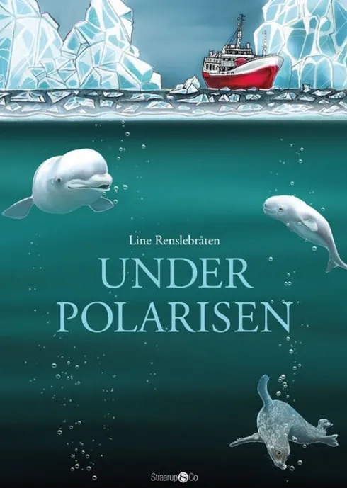 Under Polarisen