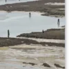 Urban Shores
