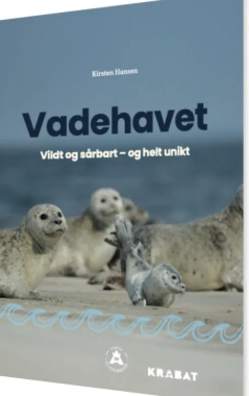 Vadehavet