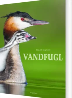 Vandfugl