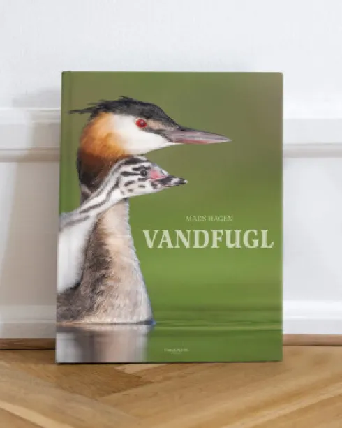 Vandfugl
