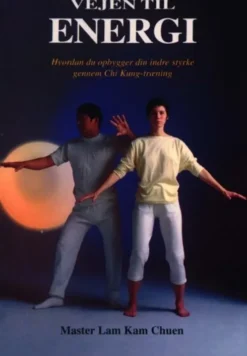 Vejen Til Energi