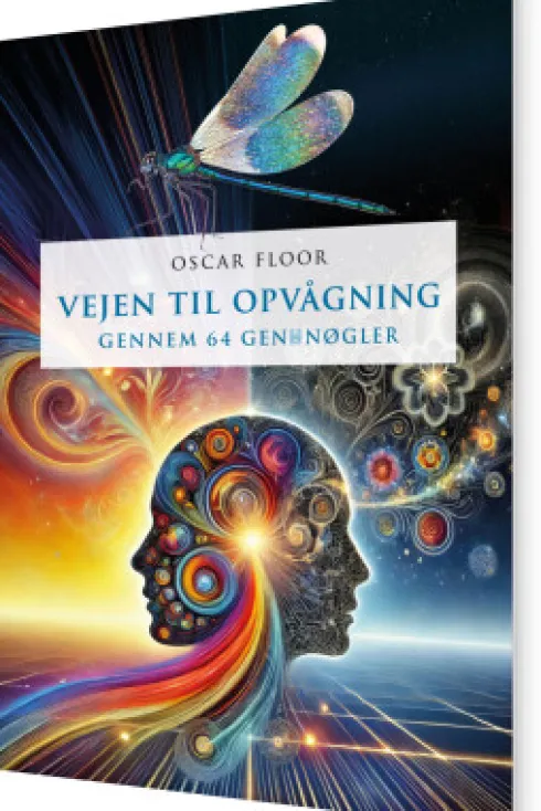 Vejen Til Opvågning Gennem 64 Gennøgler