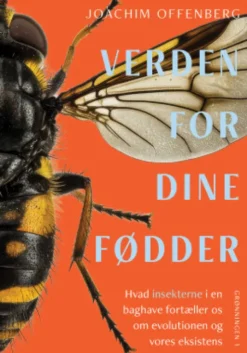 Verden For Dine Fødder