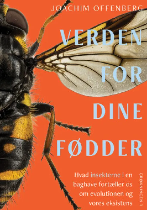 Verden For Dine Fødder
