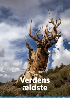 Verdens Ældste, Blå Fagklub