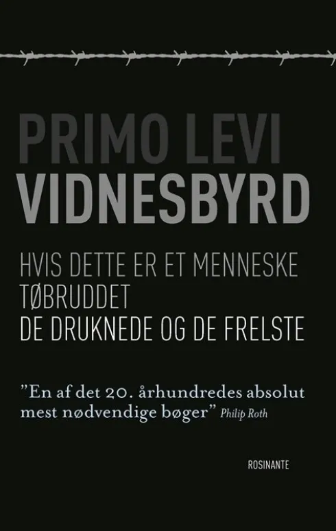Vidnesbyrd