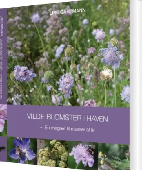 Vilde Blomster I Haven