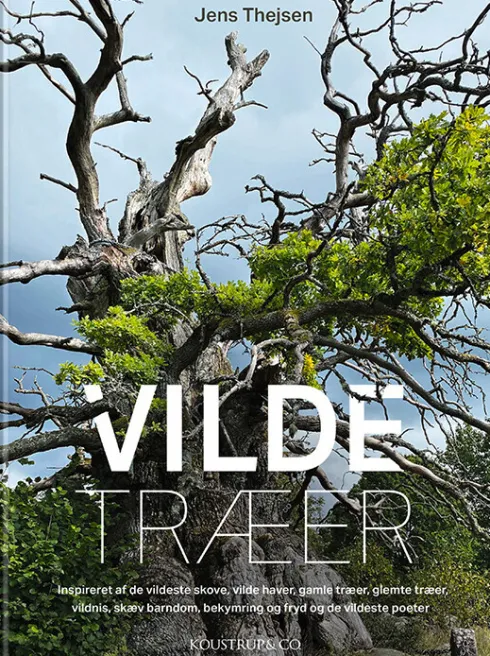Vilde Træer