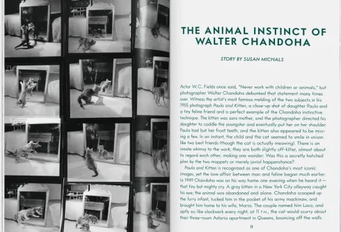 Walter Chandoha. Cats. Photographs 1942-2018