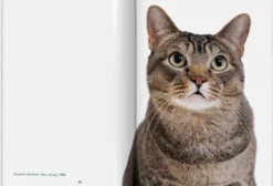 Walter Chandoha. Cats. Photographs 1942-2018